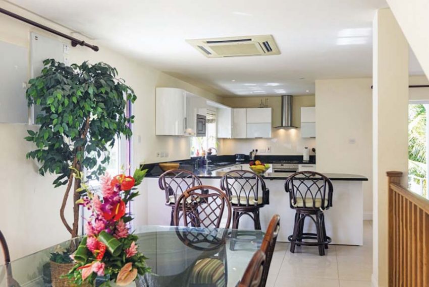 St-Lucia-Homes---CAP128---Allamanda---Kitchen-livingroom
