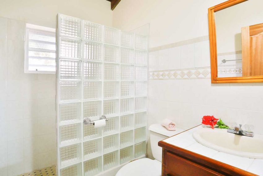 St-Lucia-Homes-Real-Estate---Sea-Star-ALR010---Bathroom