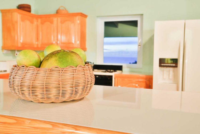 St-Lucia-Homes-Real-Estate---Sea-Star-ALR010---Kitchen-counter